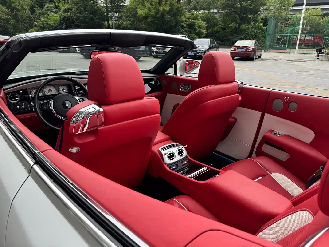 2018 Dawn 6.6T Standard Edition — миниатюра 19