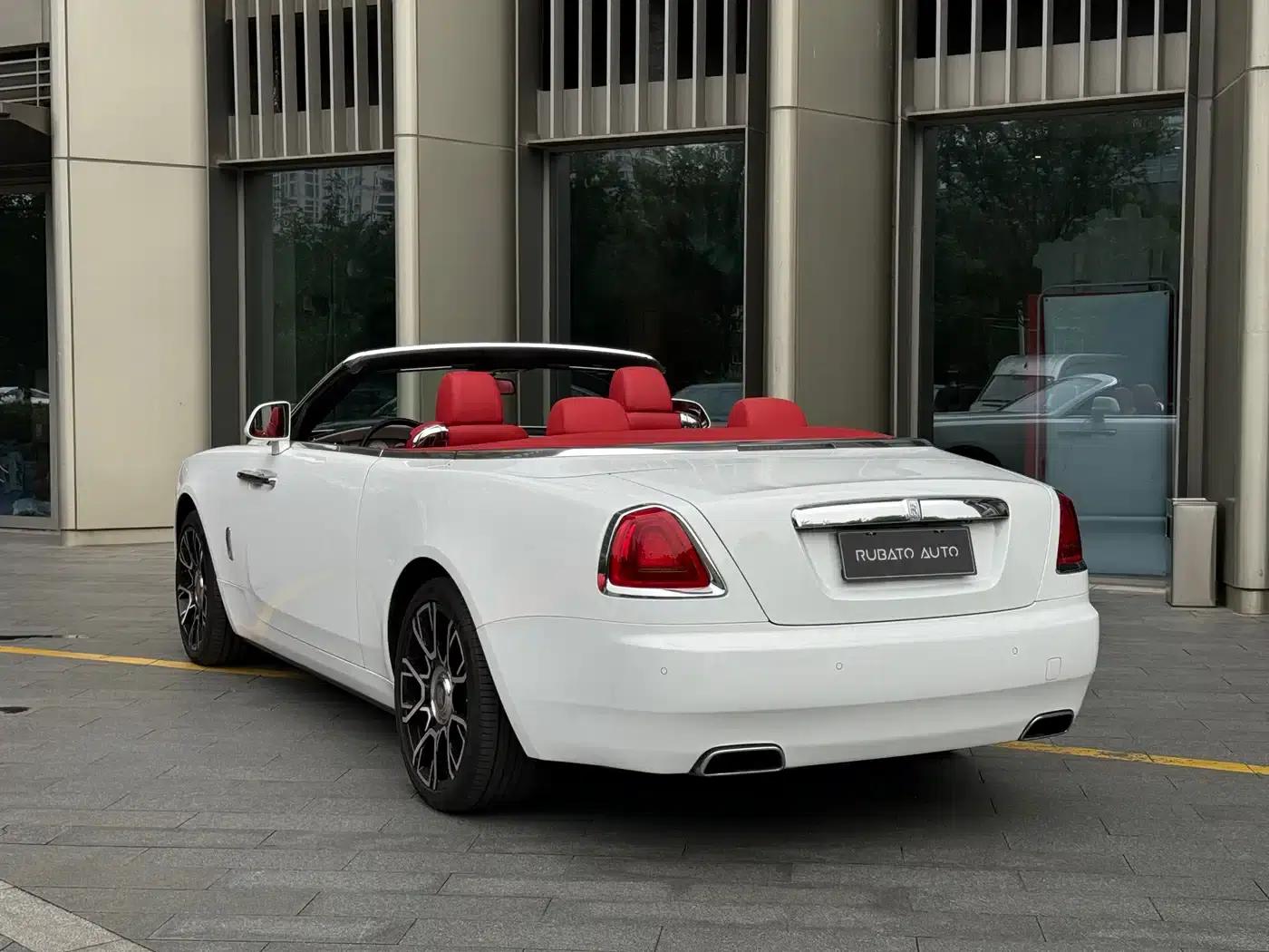 2018 Dawn 6.6T Standard Edition — миниатюра 3