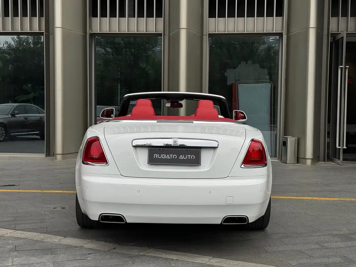 2018 Dawn 6.6T Standard Edition — миниатюра 6
