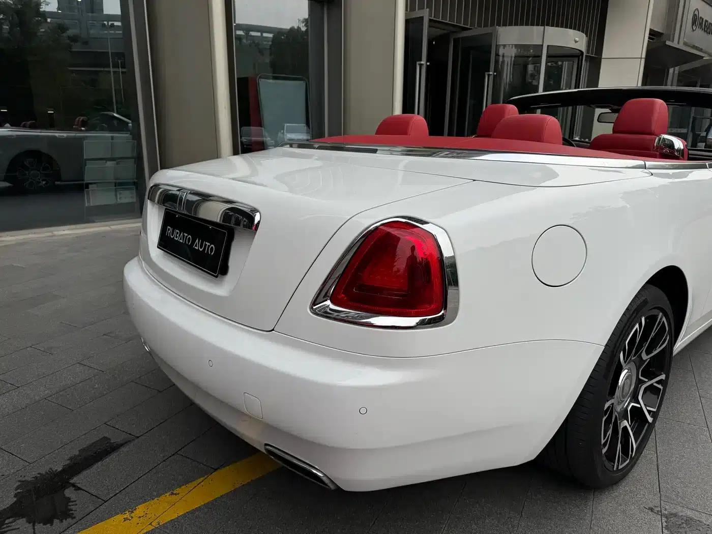 2018 Dawn 6.6T Standard Edition — миниатюра 8