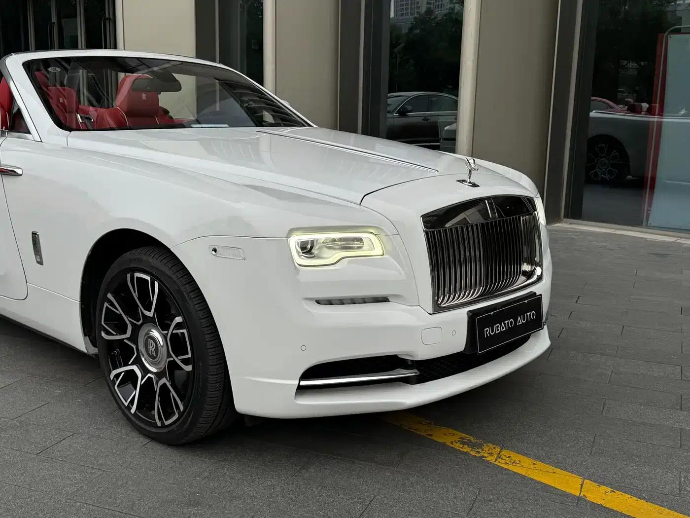 2018 Dawn 6.6T Standard Edition — миниатюра 9