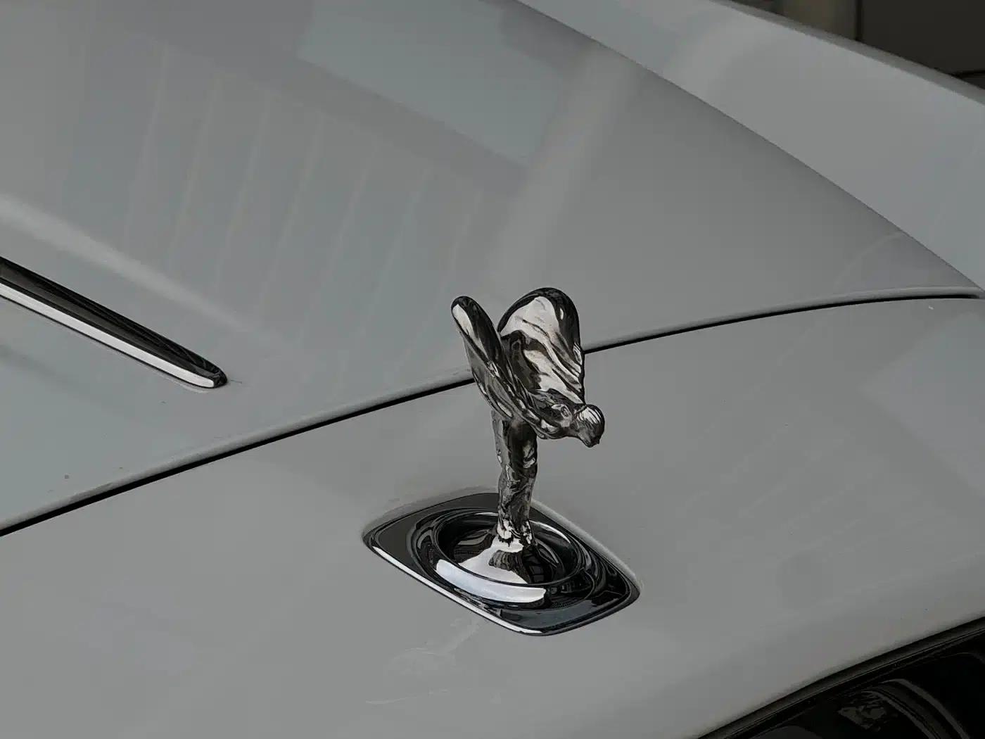 2018 Dawn 6.6T Standard Edition — миниатюра 10