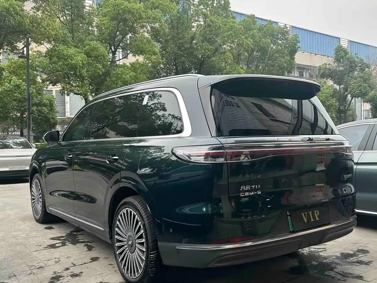 Fengyun T11 2026 Model 220 4WD Family Fun — миниатюра 12