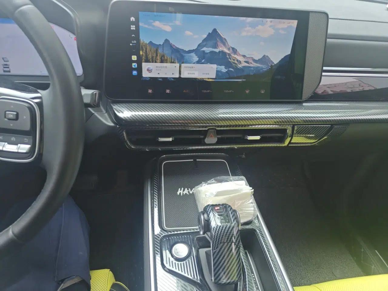 Haval X DOG 2022 1.5T DCT Four-Wheel Drive Trendy Wild Edition — миниатюра 13
