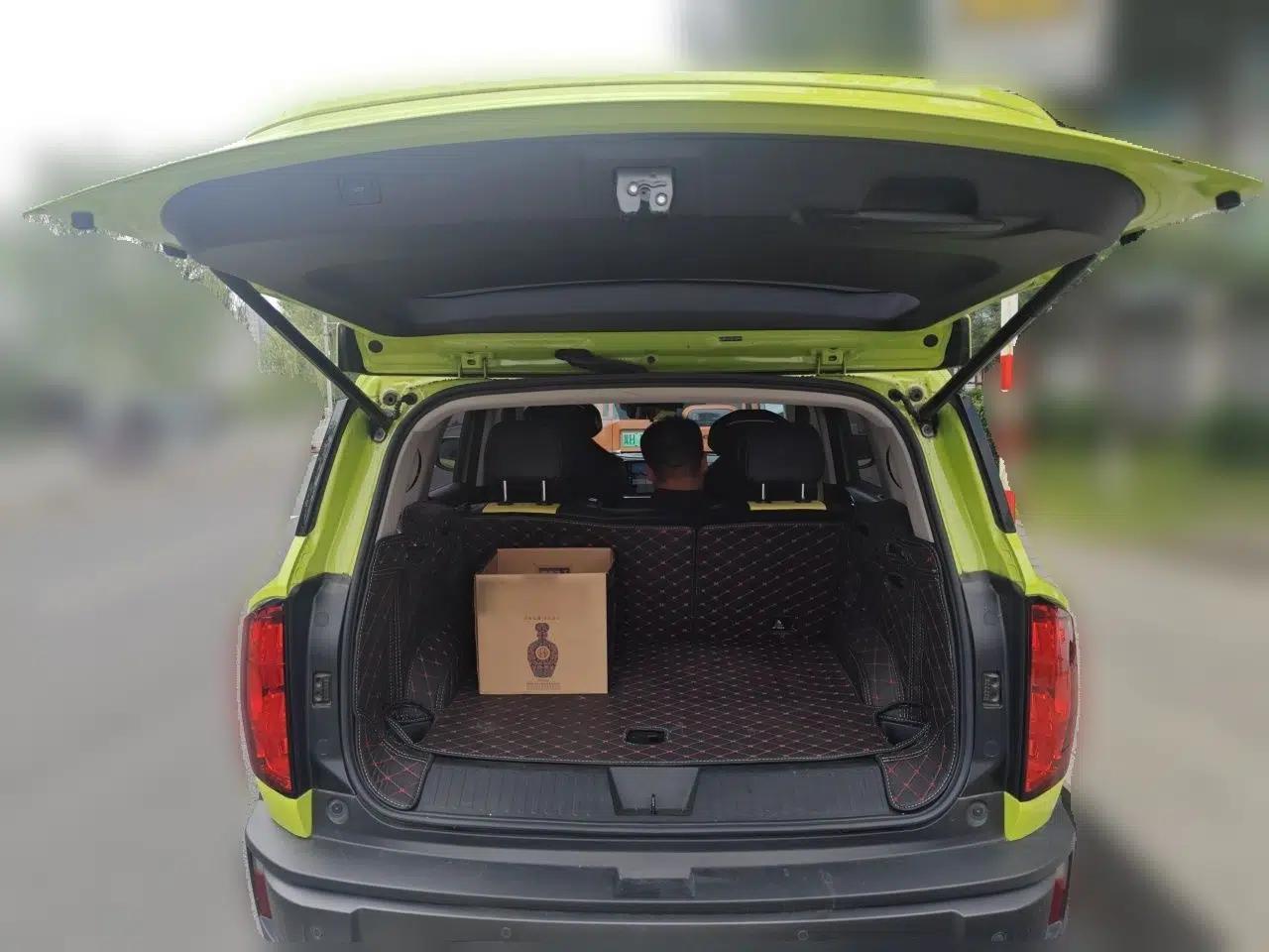 Haval X DOG 2022 1.5T DCT Four-Wheel Drive Trendy Wild Edition — миниатюра 19
