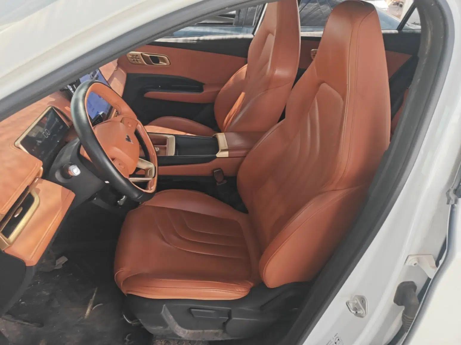 NETA X 2024 500 Prestige Edition — миниатюра 17