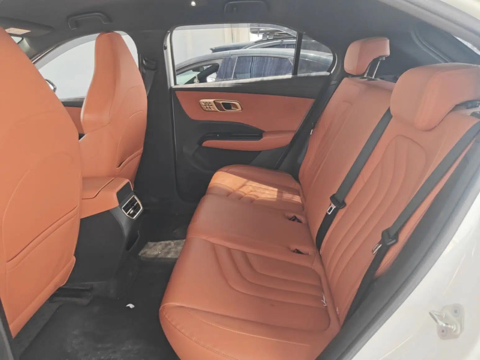 NETA X 2024 500 Prestige Edition — миниатюра 20