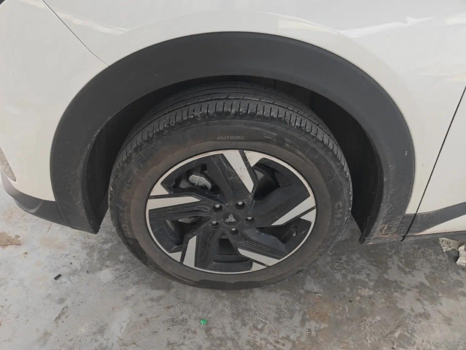 NETA X 2024 500 Prestige Edition — миниатюра 10