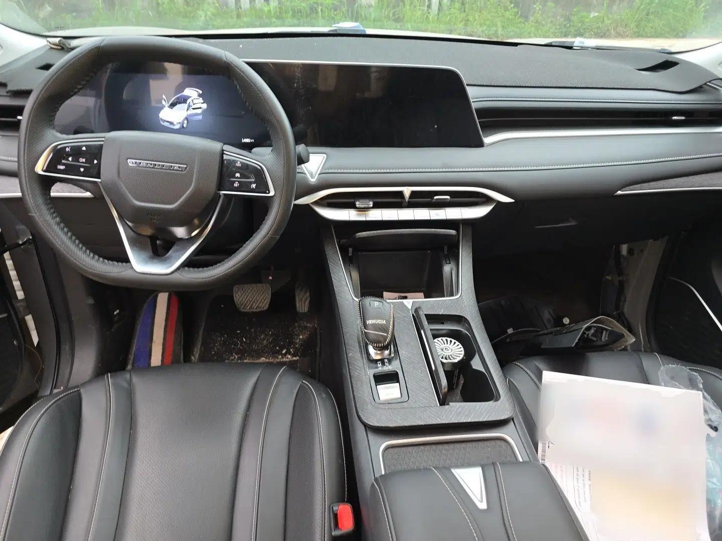 Venucia V 2022 260T Black Horse Edition · Idol — миниатюра 9
