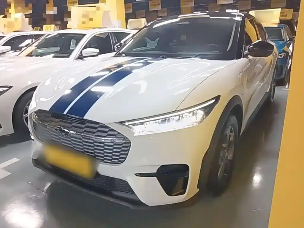 Ford Electric 2021 Model X Rear-Wheel Drive Standard Range — миниатюра 1