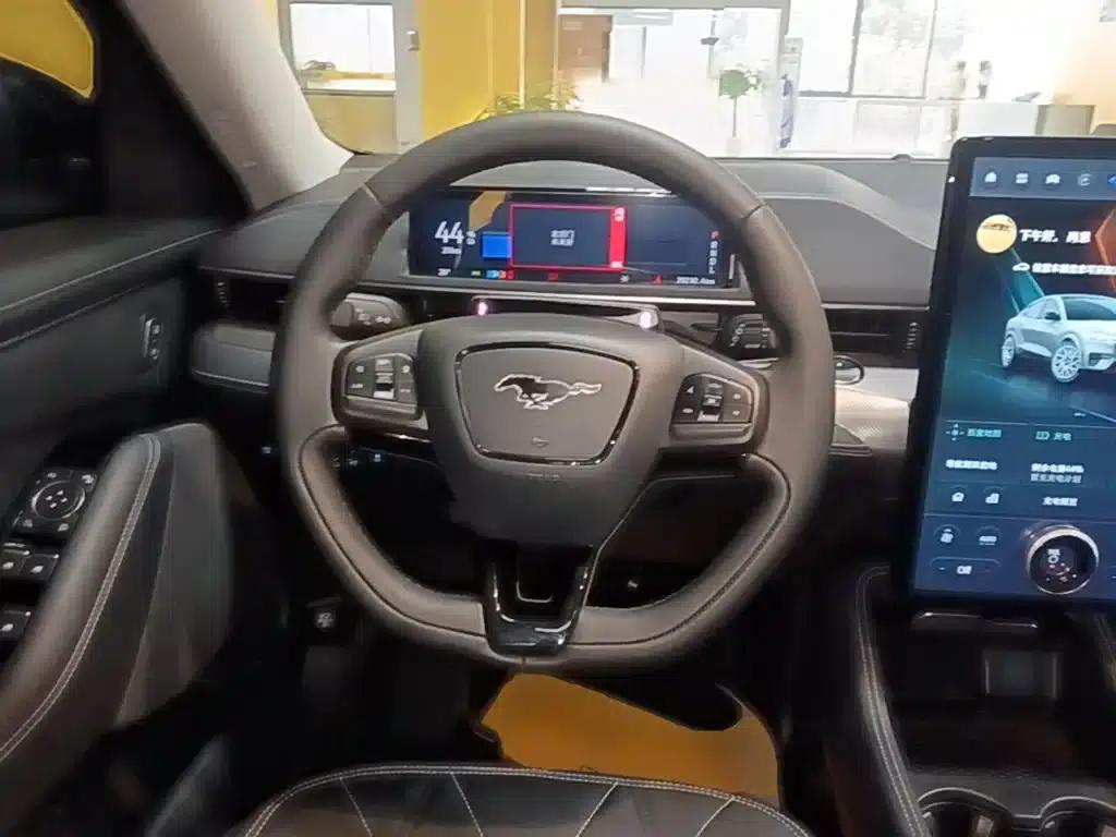 Ford Electric 2021 Model X Rear-Wheel Drive Standard Range — миниатюра 11