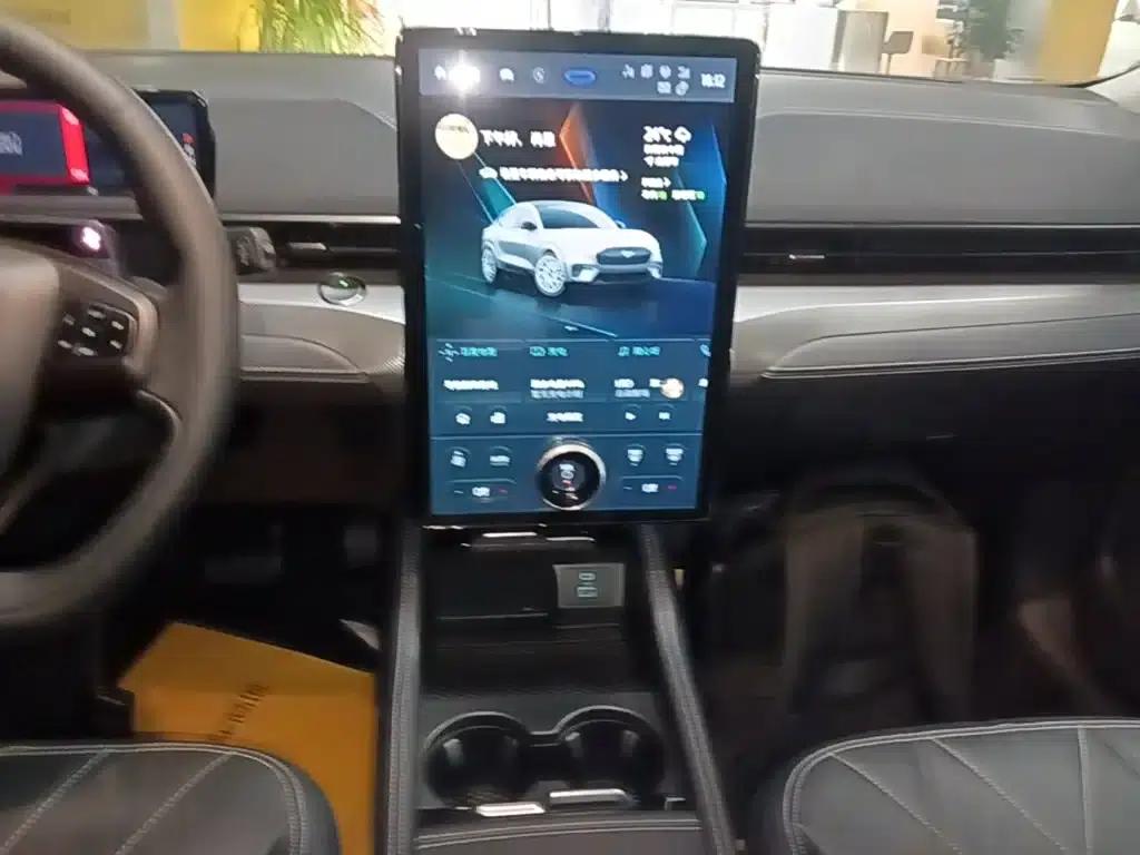 Ford Electric 2021 Model X Rear-Wheel Drive Standard Range — миниатюра 13