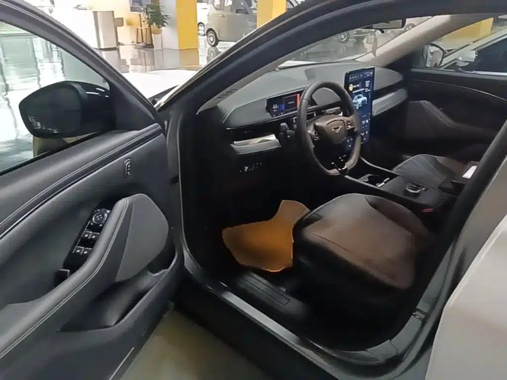 Ford Electric 2021 Model X Rear-Wheel Drive Standard Range — миниатюра 16