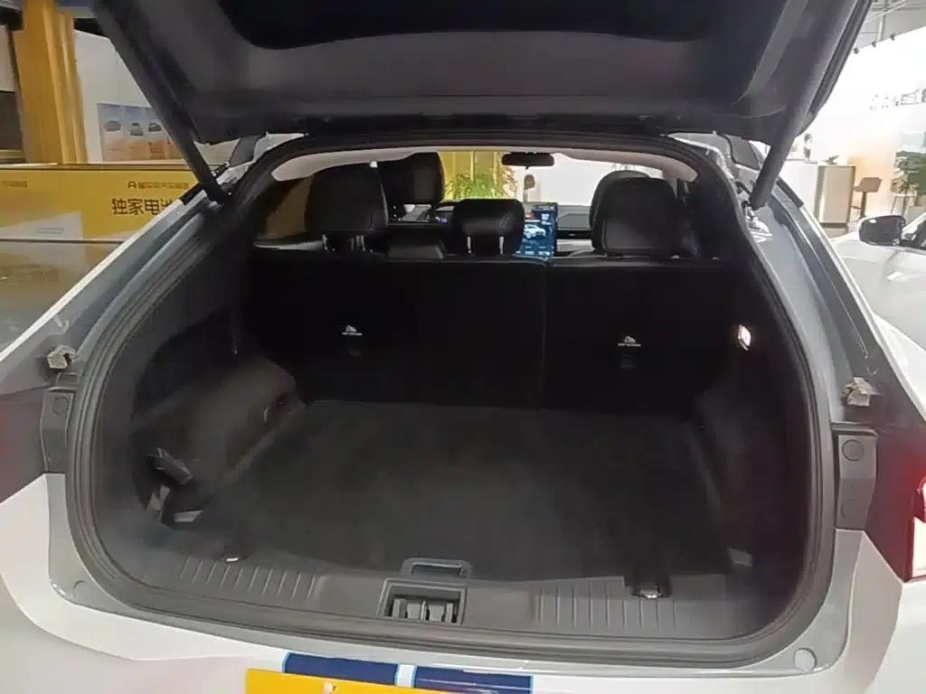 Ford Electric 2021 Model X Rear-Wheel Drive Standard Range — миниатюра 19