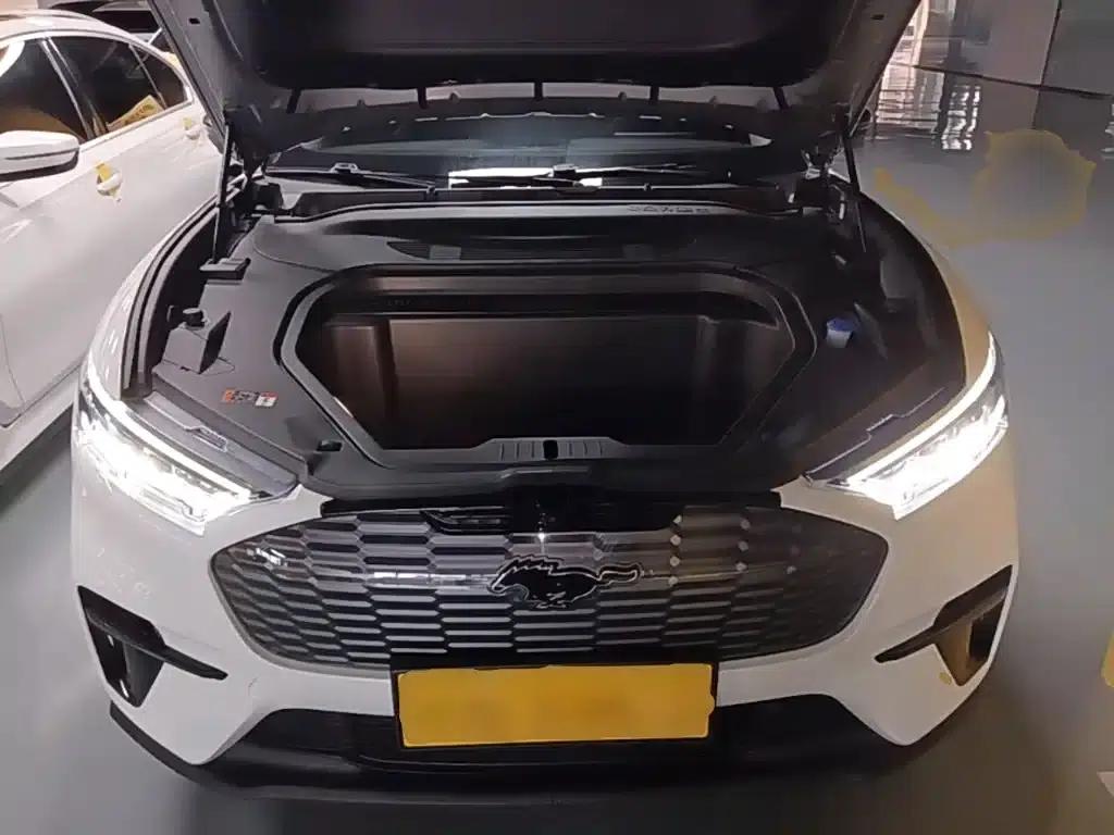Ford Electric 2021 Model X Rear-Wheel Drive Standard Range — миниатюра 20