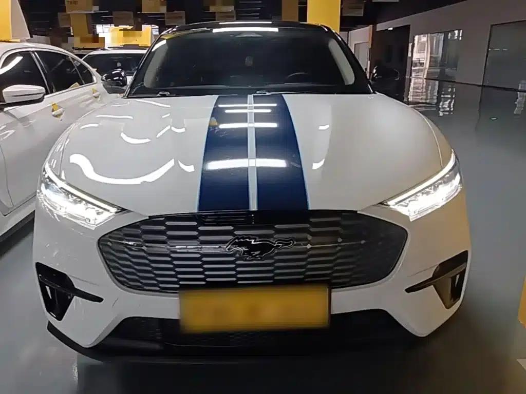 Ford Electric 2021 Model X Rear-Wheel Drive Standard Range — миниатюра 3