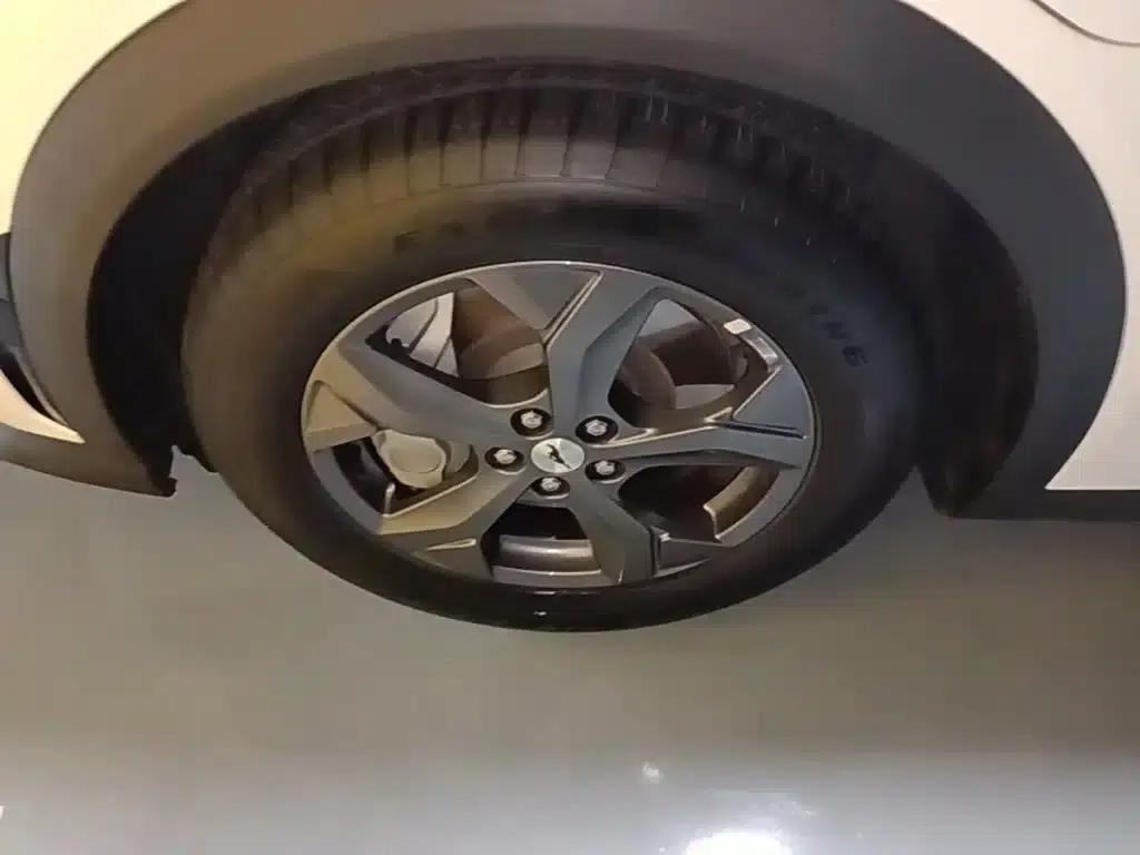 Ford Electric 2021 Model X Rear-Wheel Drive Standard Range — миниатюра 23