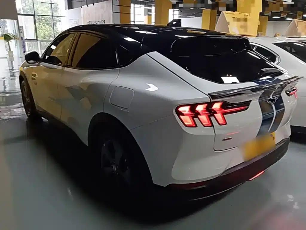 Ford Electric 2021 Model X Rear-Wheel Drive Standard Range — миниатюра 5