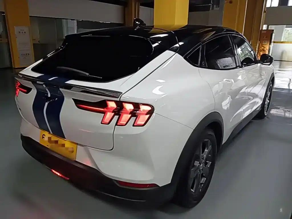 Ford Electric 2021 Model X Rear-Wheel Drive Standard Range — миниатюра 7