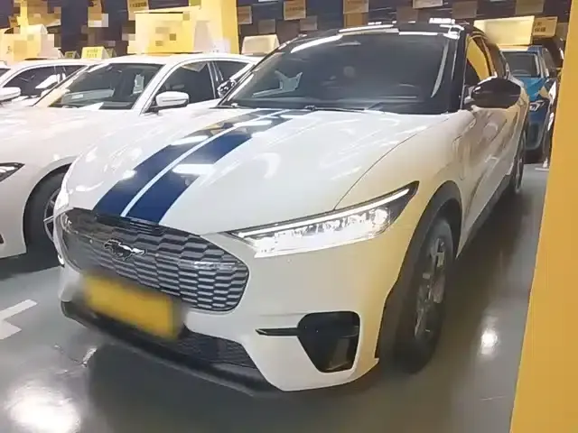 Ford Electric 2021 Model X Rear-Wheel Drive Standard Range
