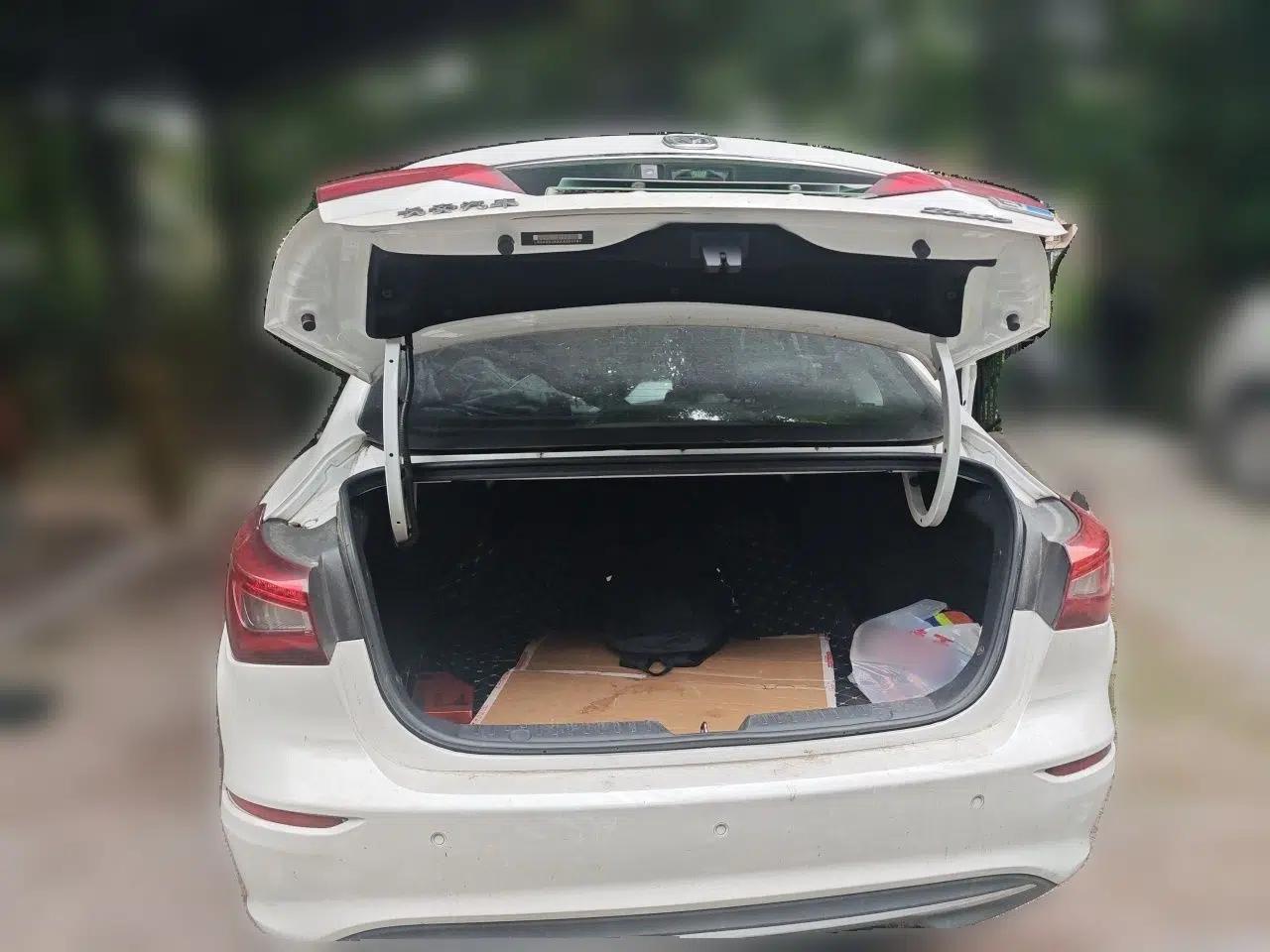 CHANGAN Eado New Energy 2019 EV460 Smart Edition — миниатюра 19
