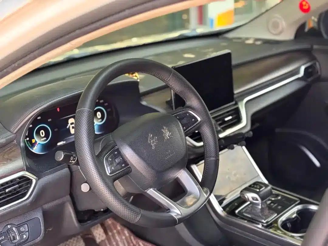 Hongqi E-HS3 2019 Intelligent Flagship Two-Wheel Drive Edition — миниатюра 4