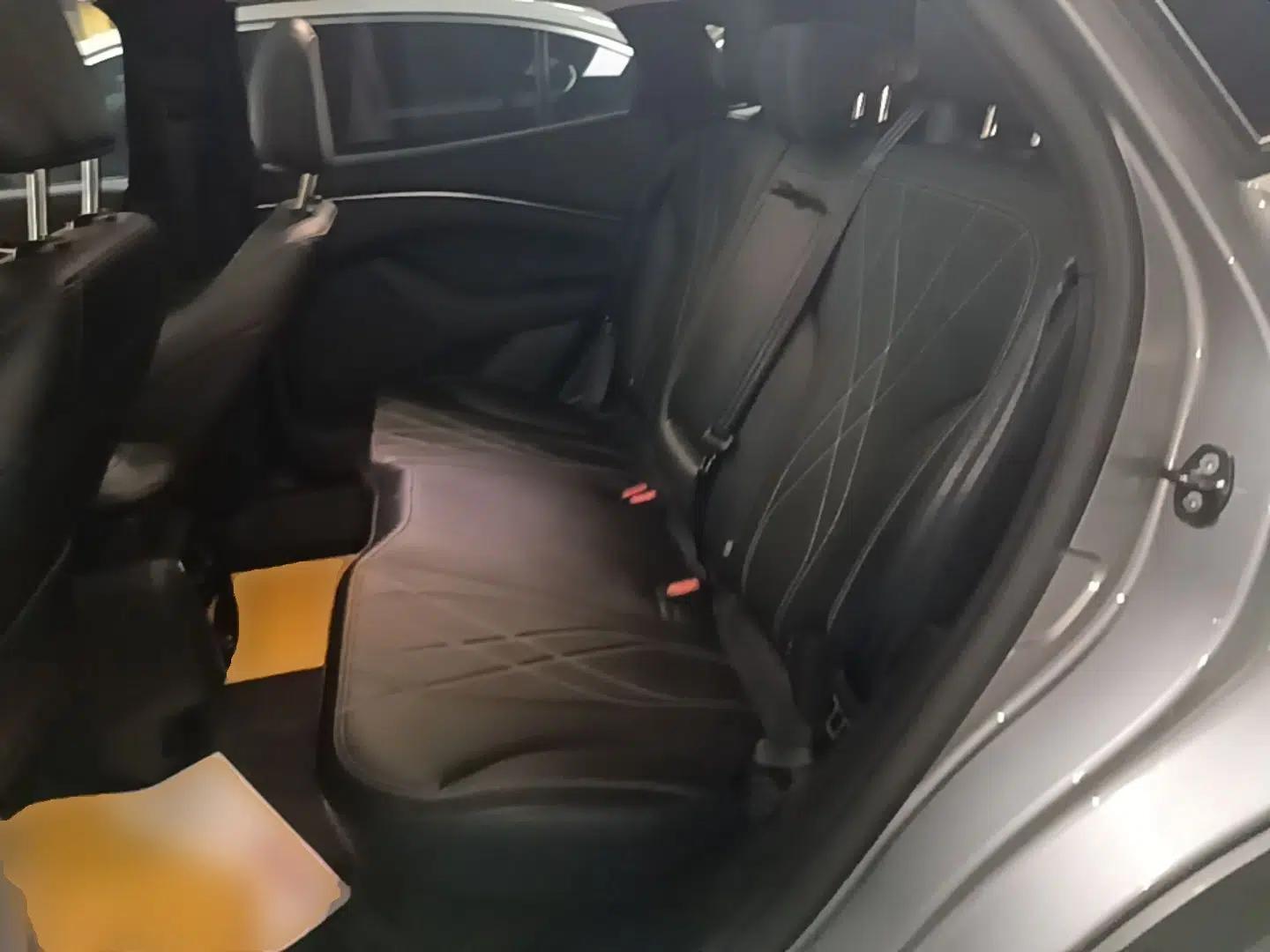 Ford Mustang Mach-E 2021 Leap Edition Rear-Drive Version (Standard Range) — миниатюра 20