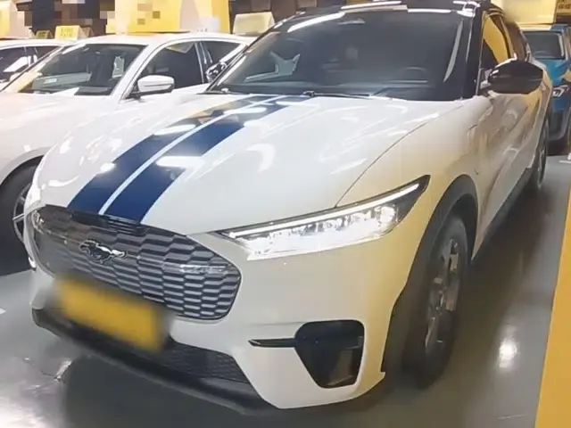 Ford Mustang Mach-E 2021 Leap Edition Rear-Drive Version (Standard Range)