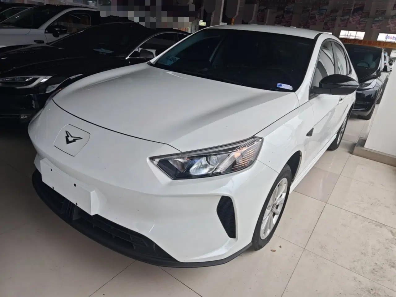 Cowin Xuandu EV 2024 Yue Xing Version — миниатюра 1
