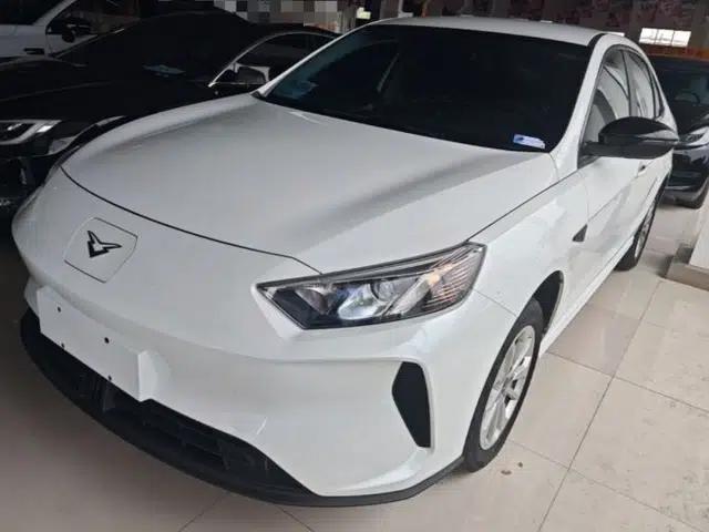 Cowin Xuandu EV 2024 Yue Xing Version