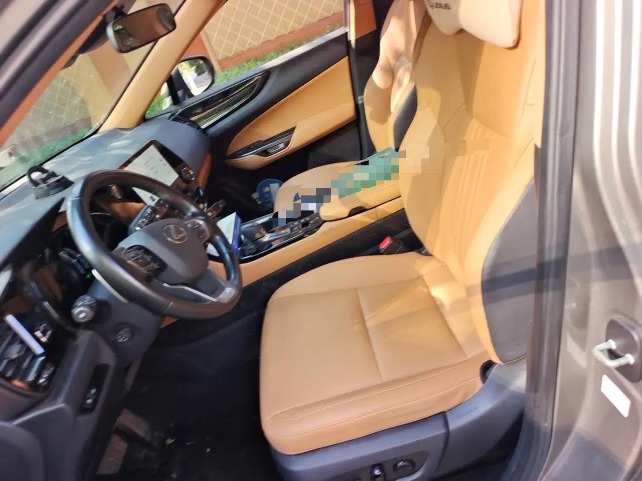 Lexus NX New Energy 2022 400h+ Comfort Edition — миниатюра 15