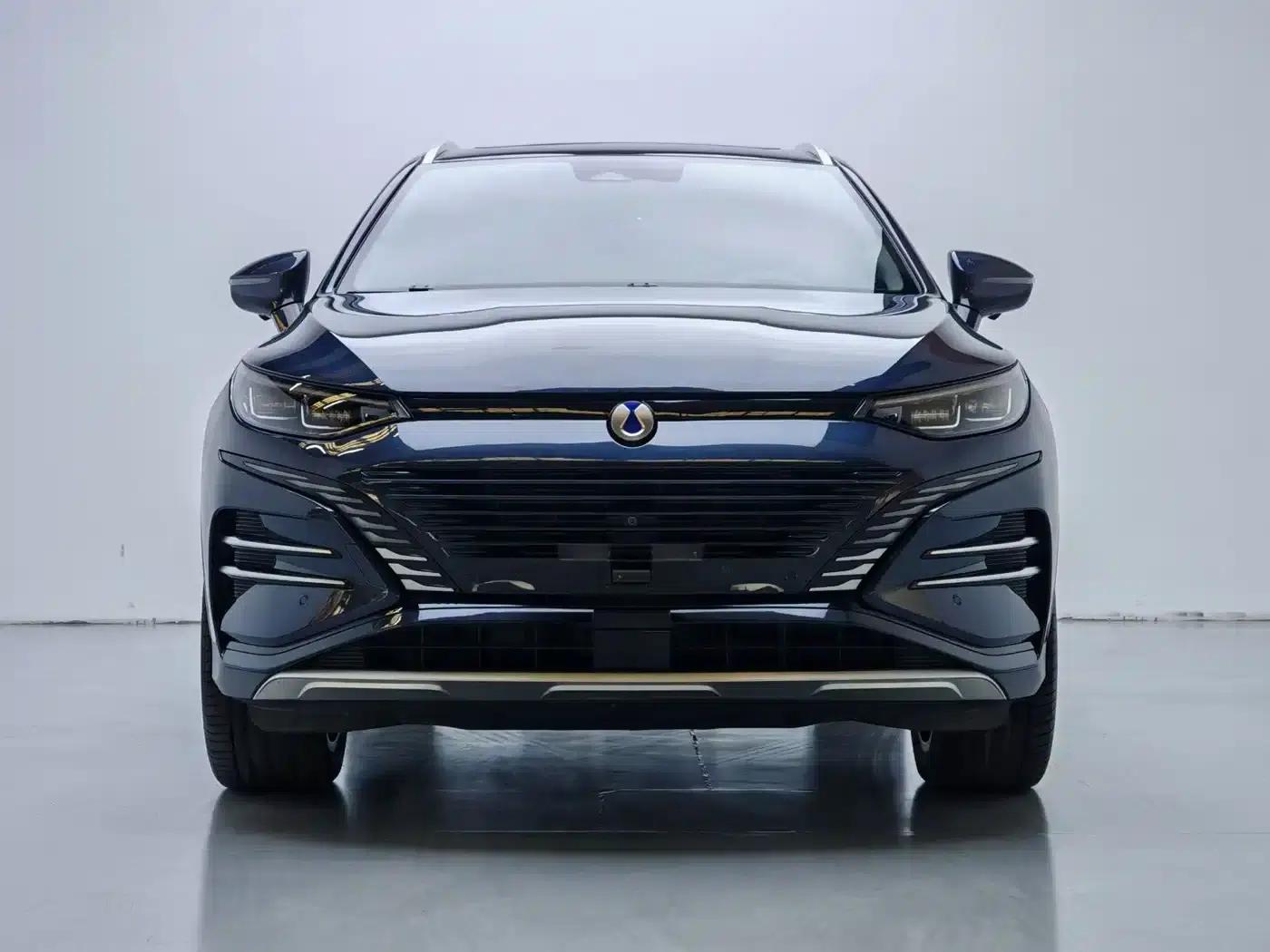 Denza N8 2023 All-Wheel Drive Super Hybrid Flagship Six-Seater Edition — миниатюра 2