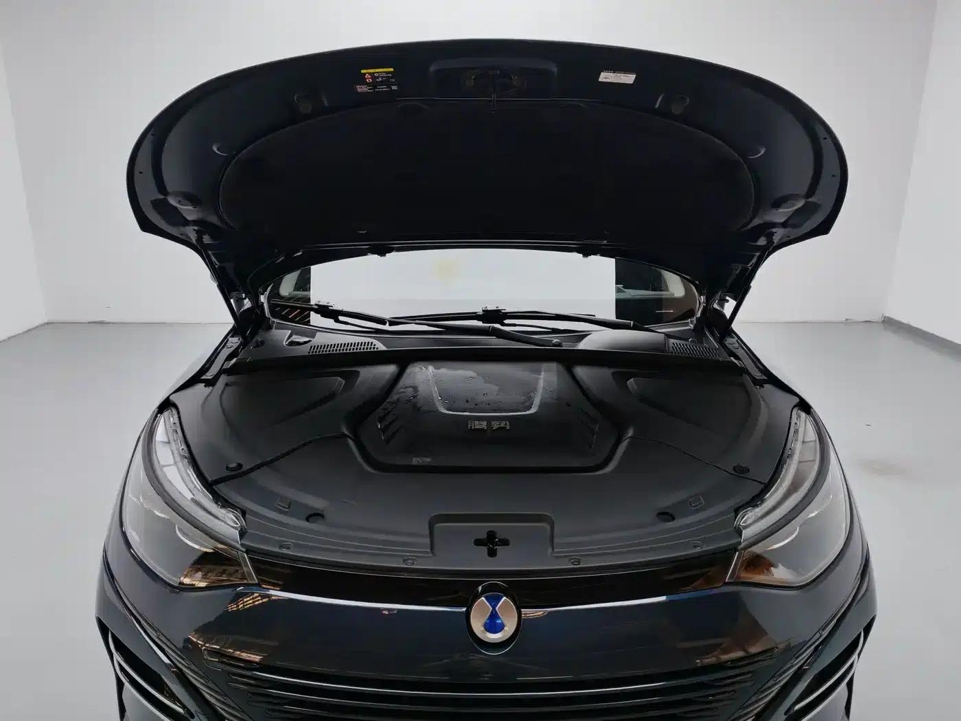 Denza N8 2023 All-Wheel Drive Super Hybrid Flagship Six-Seater Edition — миниатюра 8