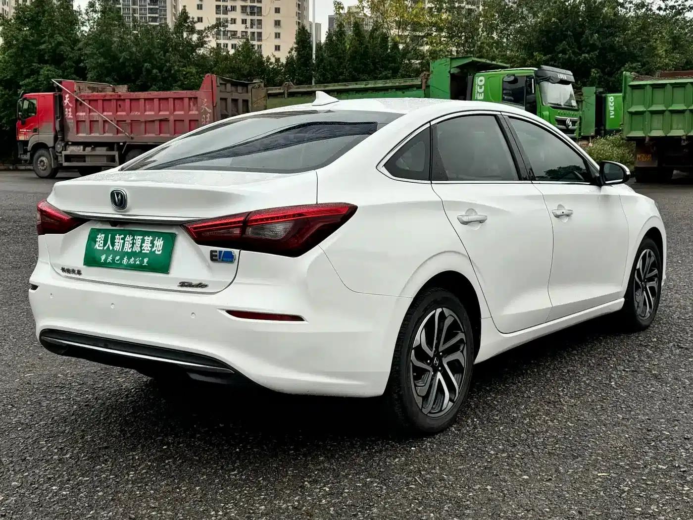 Changan Eado New Energy 2019 EV460 Smart Edition — миниатюра 5