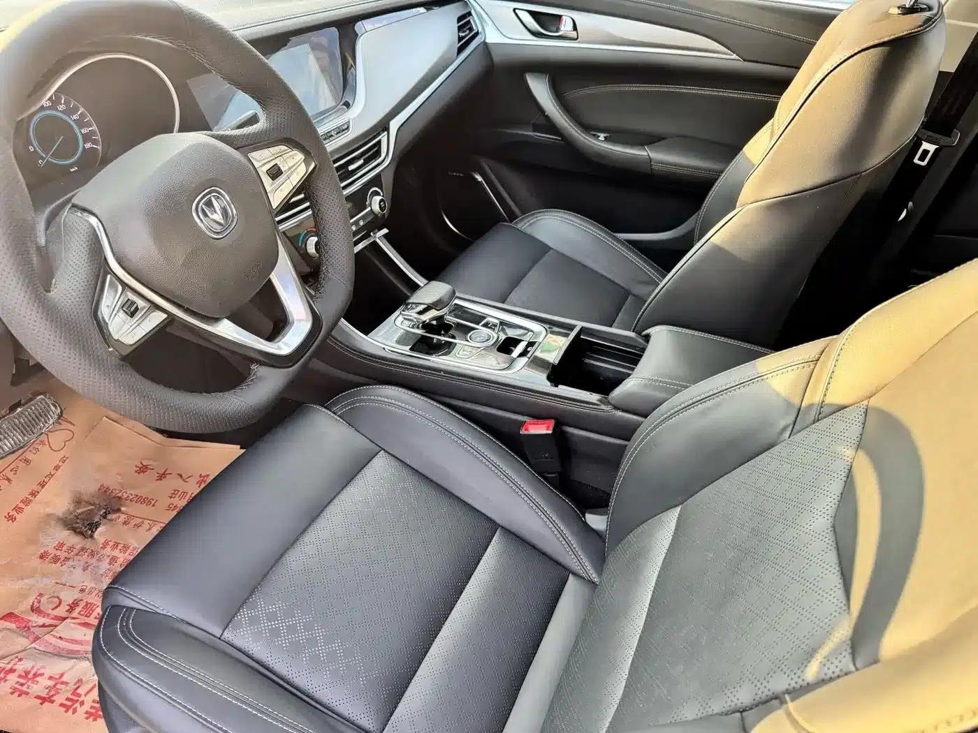 Changan Eado New Energy 2019 EV460 Smart Edition — миниатюра 8