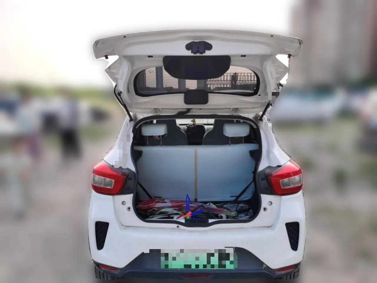 Dongfeng NAMMI EX1 2023 PRO Light Wind Edition Lightning Model — миниатюра 19