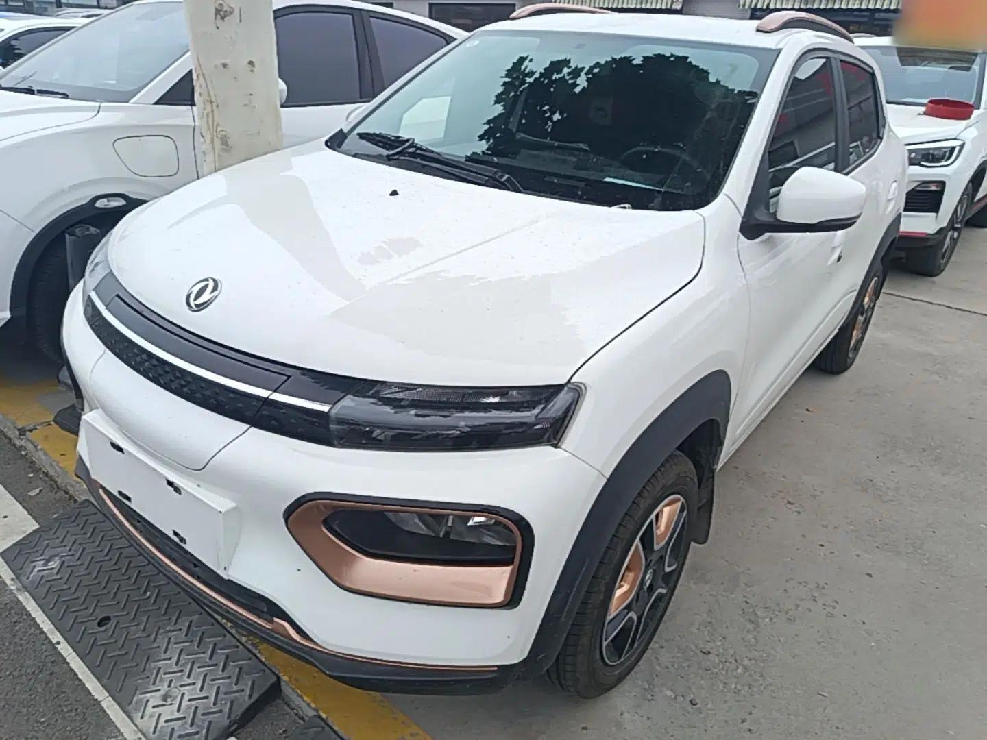 Dongfeng NAMMI BOX 2022 Revised Light Wind Edition 201 km Standard Version — миниатюра 1