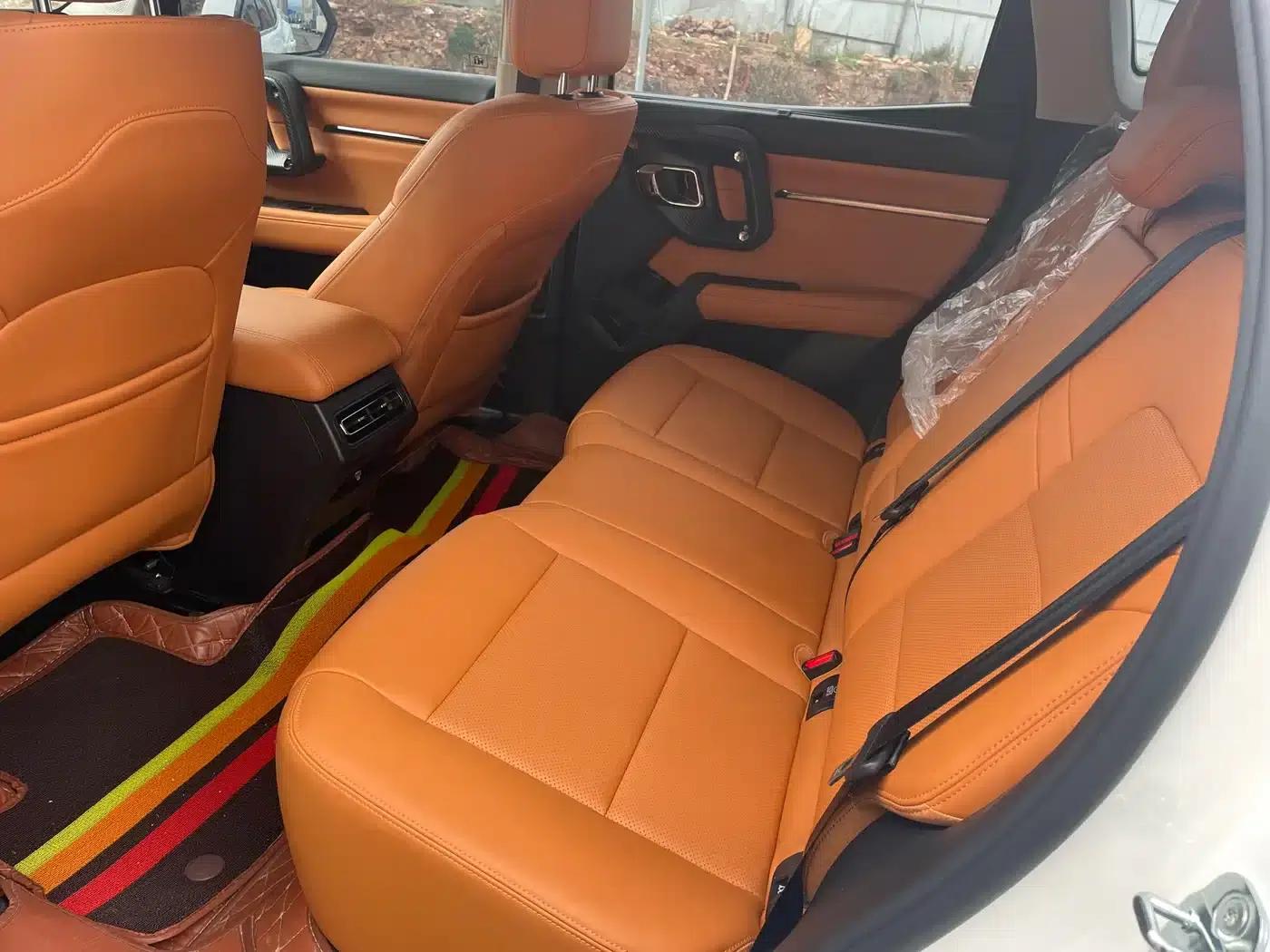 Haval Big Dog PLUS New Energy 2023 DHT-PHEV 105km Trendy Electric Edition Plus — миниатюра 11