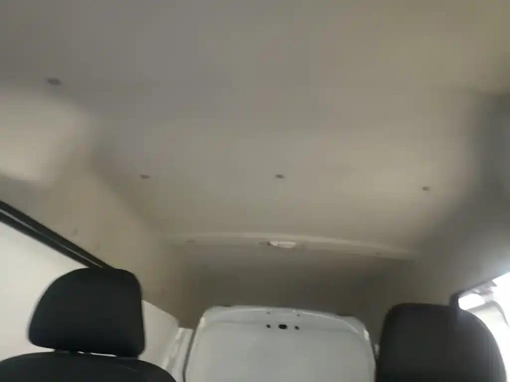 Jin Haishi M Classic 2023 Model 1.6L Engineering Lion Van (2 Seats) — миниатюра 18