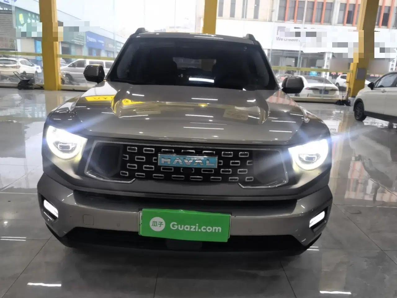 Haval H Dog New Energy 2024 Hi4 102km Trend Electric Version Plus — миниатюра 2