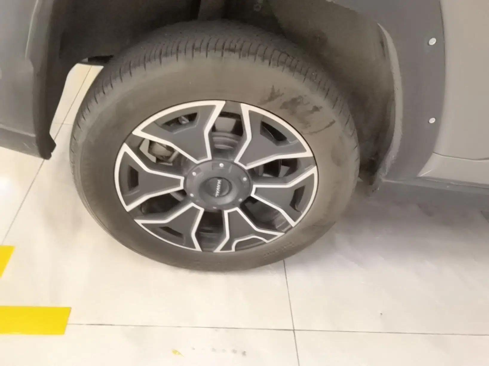 Haval H Dog New Energy 2024 Hi4 102km Trend Electric Version Plus — миниатюра 11