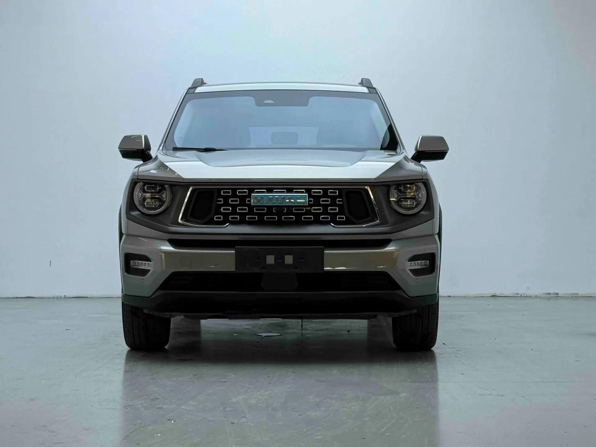 Haval H Dog New Energy 2024 Hi4 102km Trend Electric Version Plus — миниатюра 12