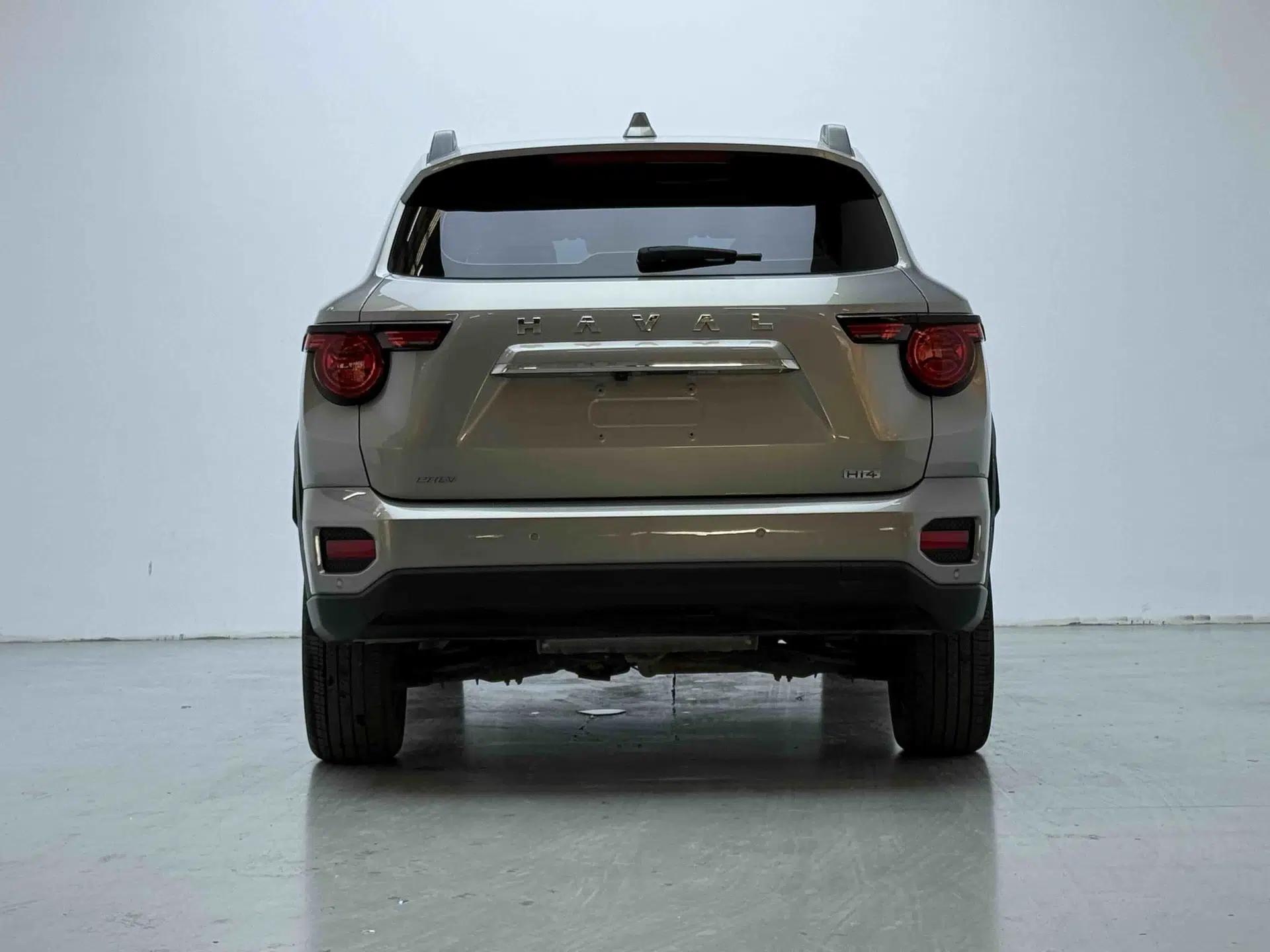 Haval H Dog New Energy 2024 Hi4 102km Trend Electric Version Plus — миниатюра 15