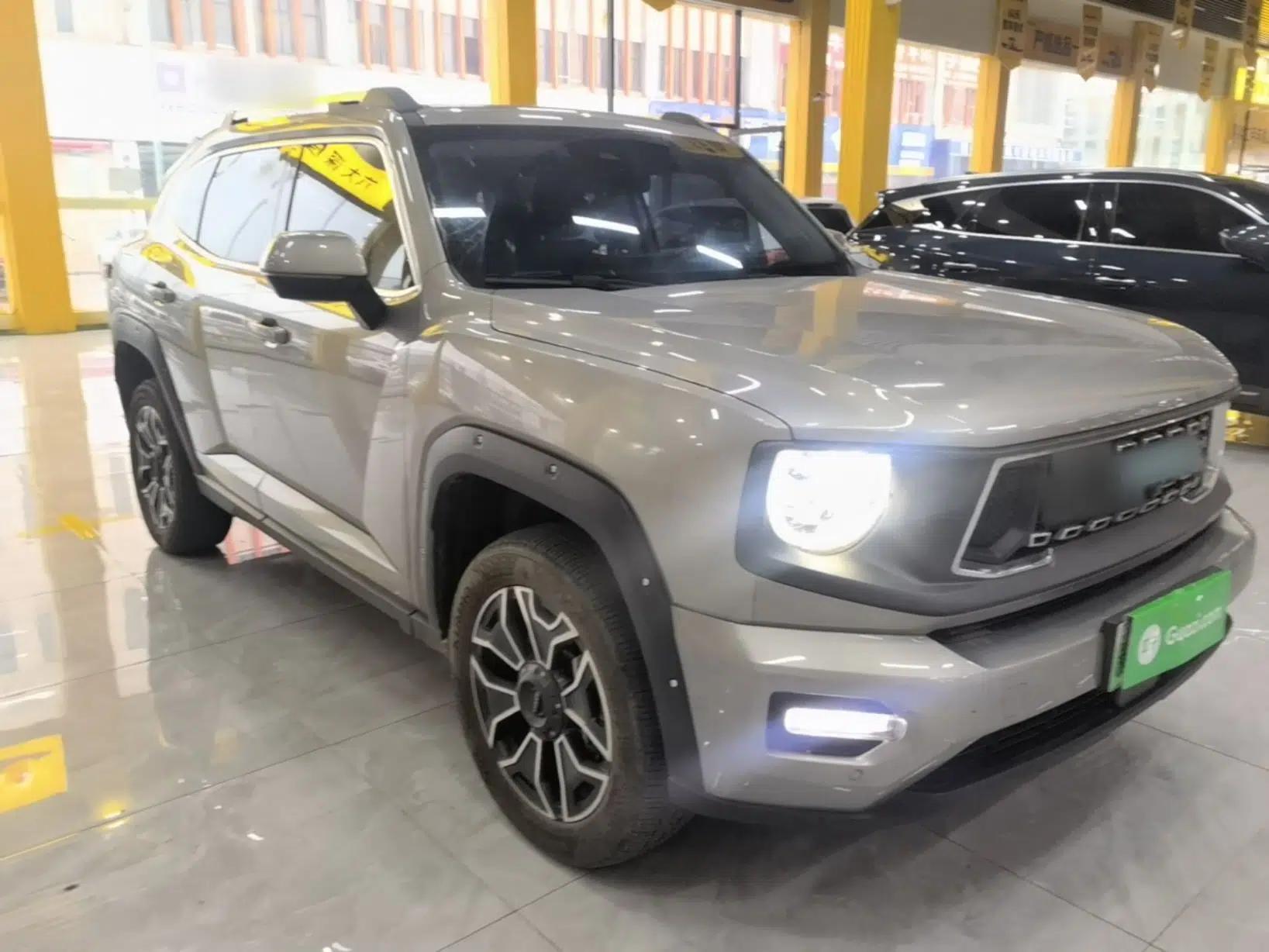 Haval H Dog New Energy 2024 Hi4 102km Trend Electric Version Plus — миниатюра 3