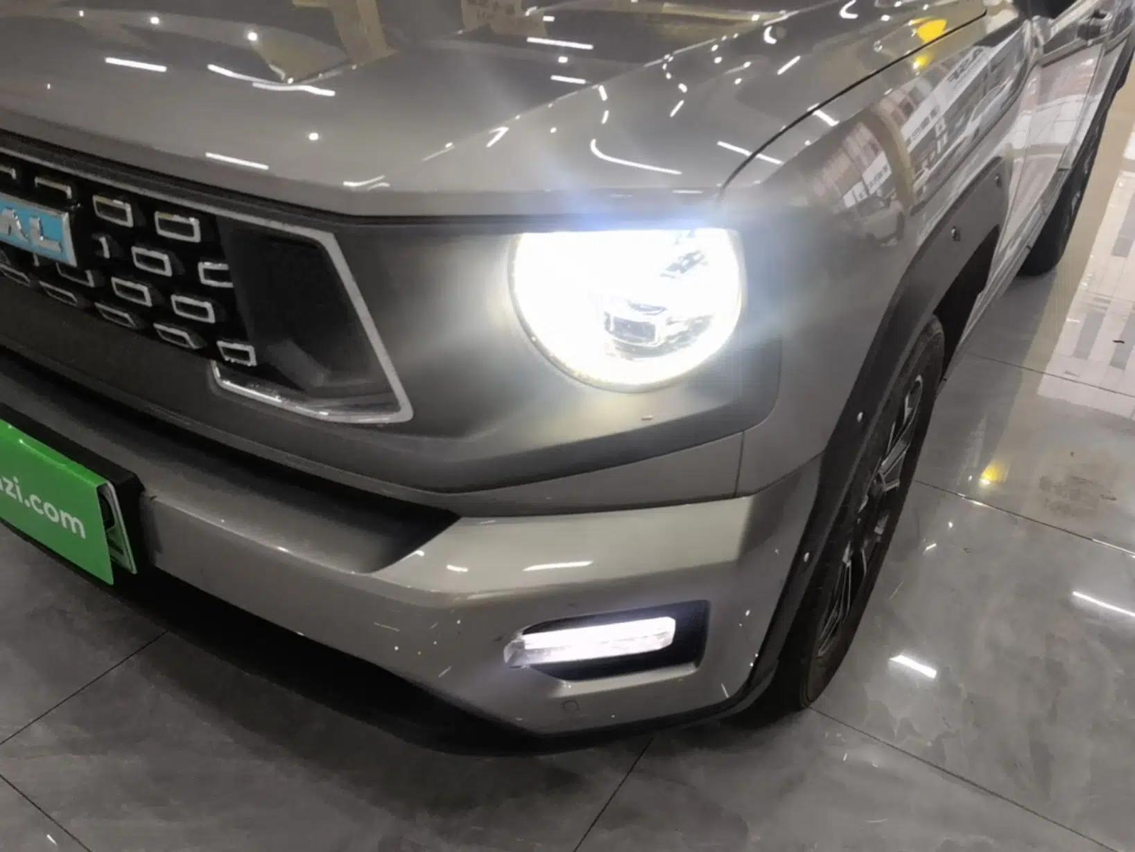 Haval H Dog New Energy 2024 Hi4 102km Trend Electric Version Plus — миниатюра 8