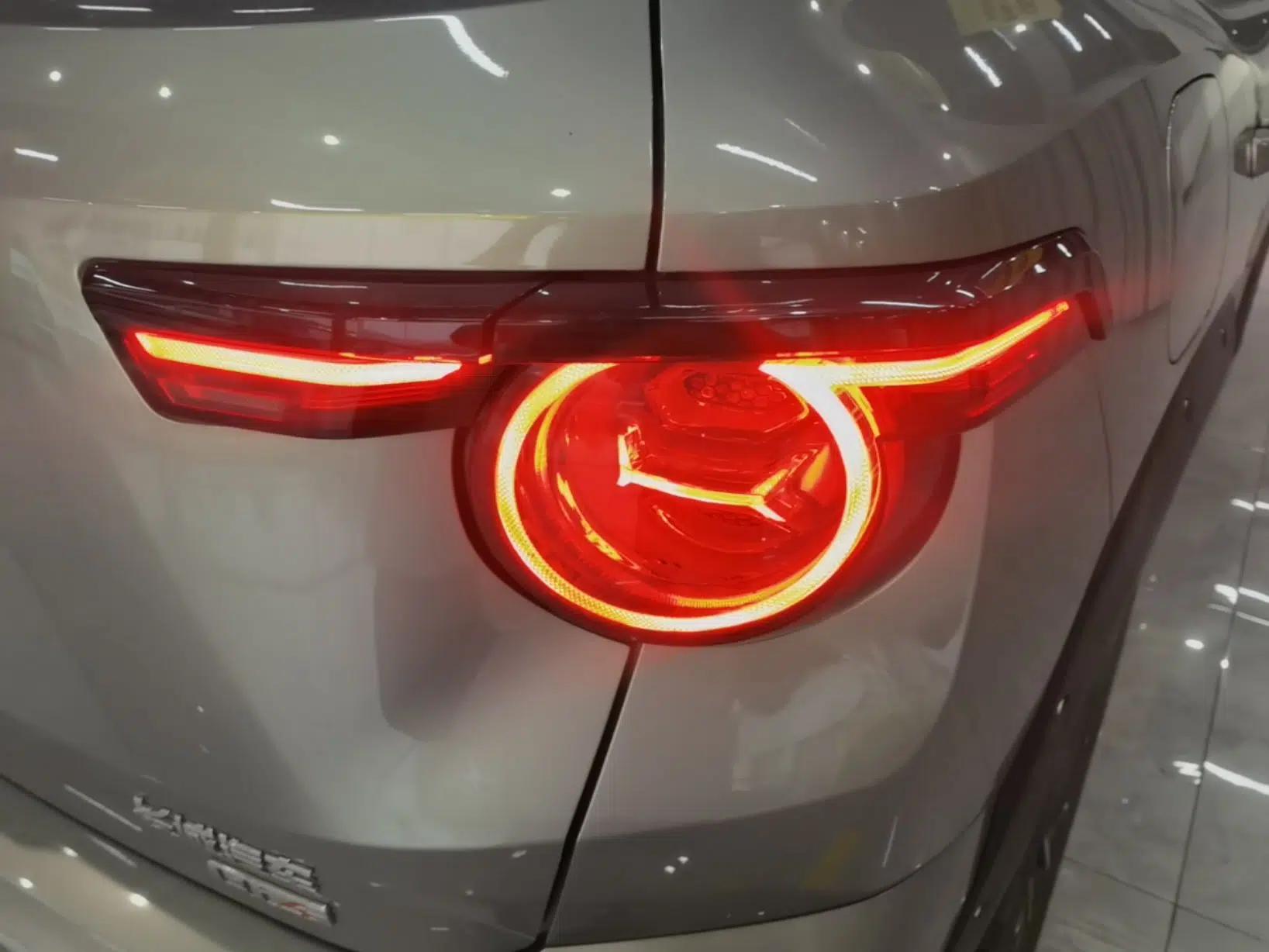 Haval H Dog New Energy 2024 Hi4 102km Trend Electric Version Plus — миниатюра 9