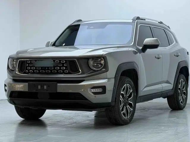 Haval H Dog New Energy 2024 Hi4 102km Trend Electric Version Plus