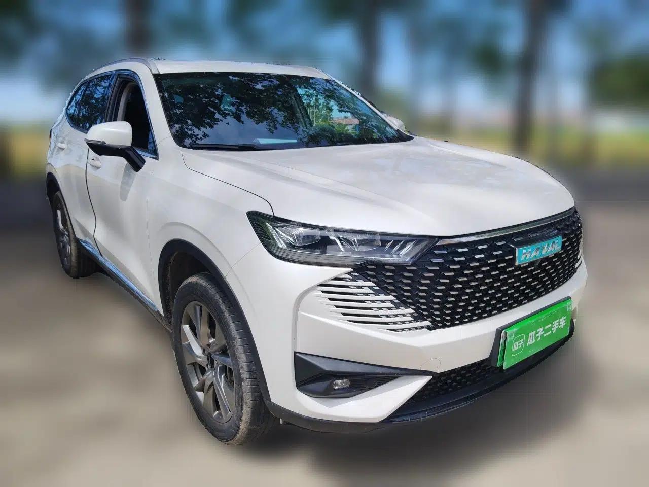 Haval H6 New Energy 2023 DHT-PHEV 110KM Long-Range Edition — миниатюра 3
