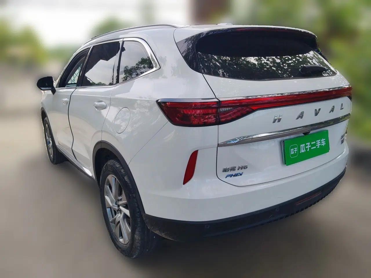Haval H6 New Energy 2023 DHT-PHEV 110KM Long-Range Edition — миниатюра 4