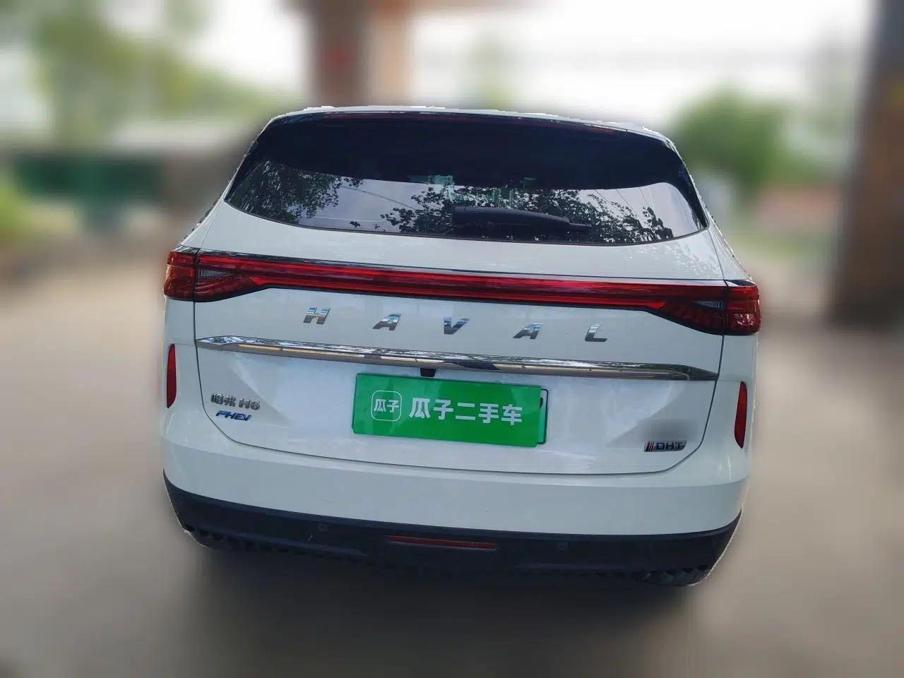 Haval H6 New Energy 2023 DHT-PHEV 110KM Long-Range Edition — миниатюра 5